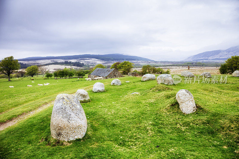 Machrie Moor上的巨石